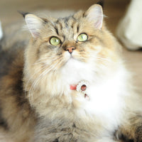 【Mori Cat】Luxury Cat Collar with Interchangeable Gem Charms-Red