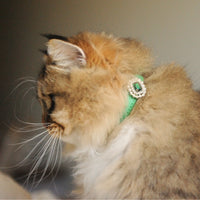 【Mori Cat】Luxury Cat Collar with Interchangeable Gem Charms-Green