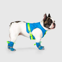 【Canada Pooch】Blue Hot Pavement Boots