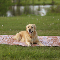 【The Boop Shop】Foldable Dog Picnic Mat | Waterproof | Sandproof