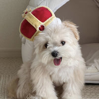 Royal Family Crown and Necklace Set - Squeaky Toy