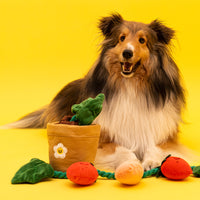 Cute Strawberry Planter Set – Hidden Treat Squeaky Tug Toy for Pets