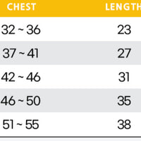 Waterproof Cartoon Hooded Dog Raincoat Bear