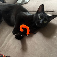 Colorful Tail Cat Teaser Head Refill