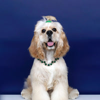 Glamour Crystal Pet Necklace – Luxury Diamond-Studded Princess Collar