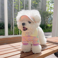 Autumn & Winter Plaid Contrast Golf Collar Pet T-Shirt – Cozy & Stylish🐾