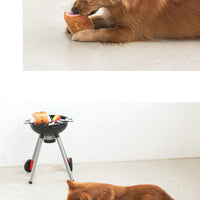 Squeaky Sound Chew BBQ Toy