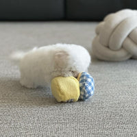 Squeaky Sound Chew Jelly Toy