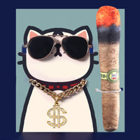 Pet Bling Set: Dollar Pendant, Gold Necklace, Sunglasses, Cigar, Catnip Toys & Hip-Hop Dog & Cat Outfit