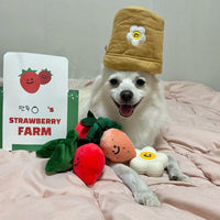 Cute Strawberry Planter Set – Hidden Treat Squeaky Tug Toy for Pets
