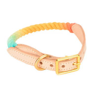 【MAOGOUBLUE】Dog Rainbow Leash + Collar