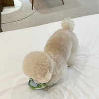 Squeaky Sound Chew Soju Toy