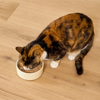 【Open Farm】Kittens - Pâté Harvest Chicken Recipe - 2.8oz & 5.3oz