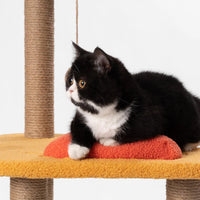 【Pidan】Cat Tree, Jump Jump