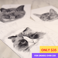 Personalized Pet Portrait Drawing - 4'x6" Canvas & Frame Included