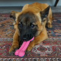 【Kong】Puppy Toy - Chew Stix Curve Bone - Insert Treats!