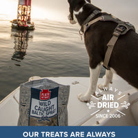【Plato Pet Treats】Dog Treats - Wild Caught - Baltic Sprat - 3 oz