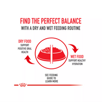 【Royal Canin】Cat Dry Food - Adult Feline Breed Nutrition For Ragdoll 7lbs