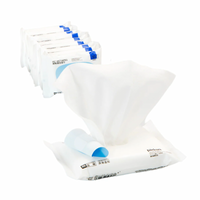 【PIDAN】Pet Wet Wipes - 10 counts per pack