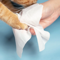 【PIDAN】Pet Wet Wipes - 10 counts per pack