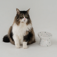 【DexyPaws】Raised Ceramic Cat Bowl - Terrazzo