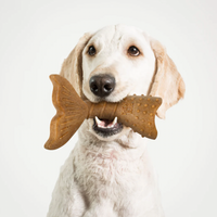 【Powerbone】The Ultimate Chew Toy - Twist Tail Dog 6"