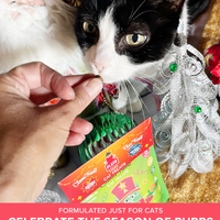 【Plato Pet Treats】Paws & Claws Cat Treats - 2 Pack