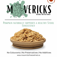 【Mavericks】Freeze Dried Topper - Pumpkin - for Dogs & Cats 43g