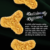 【Fromm】 PurrSnickitty™ Game Bird Grandeur Recipe Dry Cat Food