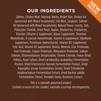 【Instinct】Dog Dry Food - Be Natural Real Salmon & Brown Rice Recipe 24lb