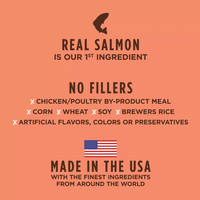 【Instinct】Dog Dry Food - Be Natural Real Salmon & Brown Rice Recipe 24lb