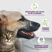 【Baci+】Buco+ Oral Health Dental Care for Cats & Dogs - 35g