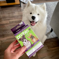 【Baci+】probio+ pre and probiotics For Dogs