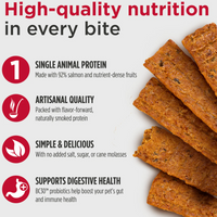 【Nulo】Dog - Jerky Strips Salmon With Strawberries Recipe- 5 oz