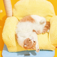 【Weekly Airdrop 3.23-3.29】PURLAB Meow Living Room Multi-Purpose Cat Tree