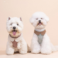 Plaid Parade - Plaid Leash & Harness