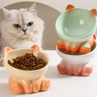 Gradient Ceramic Cat Bowl – Ergonomic Neck Protection