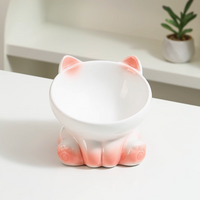 Gradient Ceramic Cat Bowl – Ergonomic Neck Protection