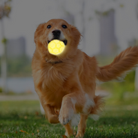 Light-Up Soccer Ball Dog Toy