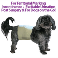 【PoochPants】Disposable Male Wrap S size 12ct