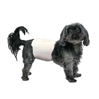 【PoochPants】Disposable Male Wrap S size 12ct