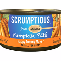 【SCRUMPTIOUS】FROM SCRATCH - Wet Can Pet Food - Pumpkin Pate 79g