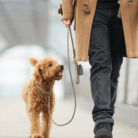 【William Walker】Poop bag holder - sand (Beige)