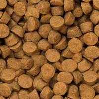 【Oven Baked Tradition】Dog All Breed All Life Stages Grain Free Fish 5 lb / 12.5 lb / 25 lb