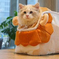 Pet Travel Bag - The Lion Cat Style