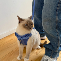 【EMPAWR】 Dog Harness - Sky