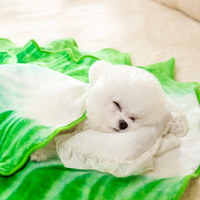 A Napa Cabbage Blanket