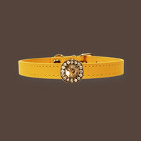 【Mori Cat】Luxury Cat Collar with Interchangeable Gem Charms-Gold