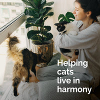 【Vetality】Harmony Pet Calming Spray for Cats 1.62 fl oz