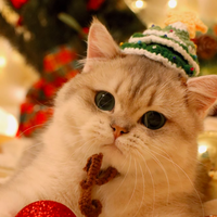 手工编织羊毛小帽子-圣诞树款